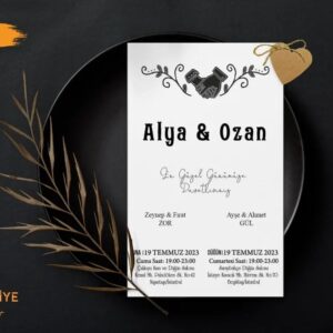 Ekonomik Model | T-019