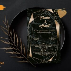 Ekonomik Model | T-020