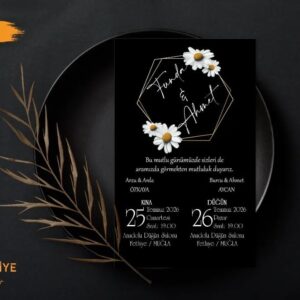 Ekonomik Model | T-029