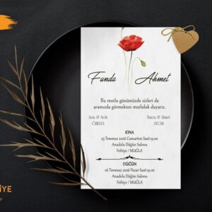 Ekonomik Model | T-041